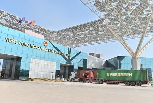 暢通跨境動脈 促進越南與中國地方間進出口貨物通關(guān)與國內(nèi)貿(mào)易代理發(fā)展